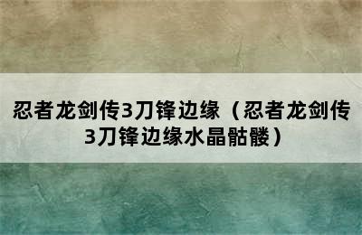 忍者龙剑传3刀锋边缘（忍者龙剑传3刀锋边缘水晶骷髅）