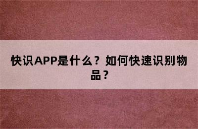 快识APP是什么？如何快速识别物品？