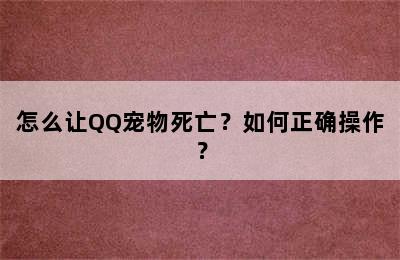 怎么让QQ宠物死亡？如何正确操作？