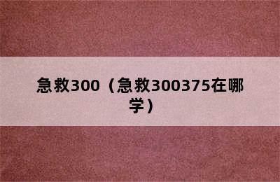 急救300（急救300375在哪学）