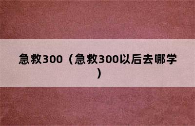 急救300（急救300以后去哪学）