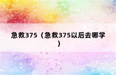 急救375（急救375以后去哪学）