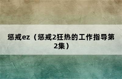 惩戒ez（惩戒2狂热的工作指导第2集）