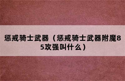 惩戒骑士武器（惩戒骑士武器附魔85攻强叫什么）