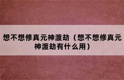 想不想修真元神渡劫（想不想修真元神渡劫有什么用）