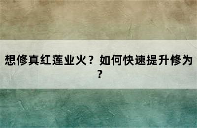 想修真红莲业火？如何快速提升修为？