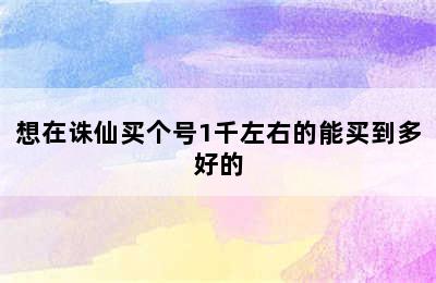 想在诛仙买个号1千左右的能买到多好的