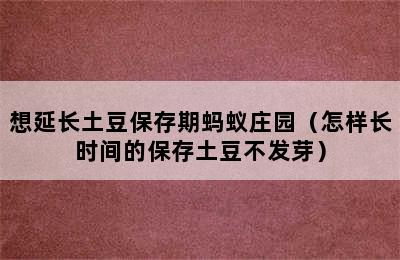 想延长土豆保存期蚂蚁庄园（怎样长时间的保存土豆不发芽）