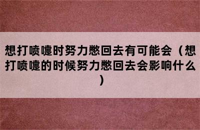 想打喷嚏时努力憋回去有可能会（想打喷嚏的时候努力憋回去会影响什么）