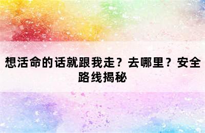 想活命的话就跟我走？去哪里？安全路线揭秘