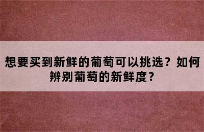 想要买到新鲜的葡萄可以挑选？如何辨别葡萄的新鲜度？