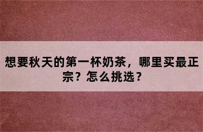 想要秋天的第一杯奶茶，哪里买最正宗？怎么挑选？