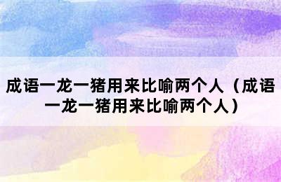 成语一龙一猪用来比喻两个人（成语一龙一猪用来比喻两个人）