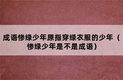 成语惨绿少年原指穿绿衣服的少年（惨绿少年是不是成语）