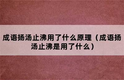 成语扬汤止沸用了什么原理（成语扬汤止沸是用了什么）