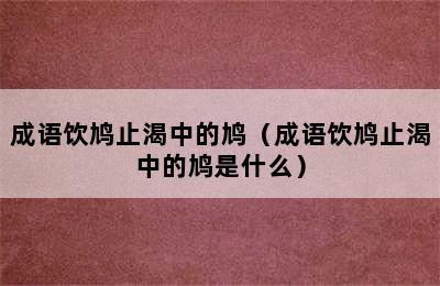 成语饮鸠止渴中的鸠（成语饮鸠止渴中的鸠是什么）