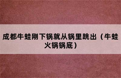 成都牛蛙刚下锅就从锅里跳出（牛蛙火锅锅底）