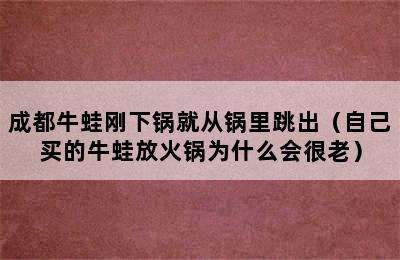 成都牛蛙刚下锅就从锅里跳出（自己买的牛蛙放火锅为什么会很老）