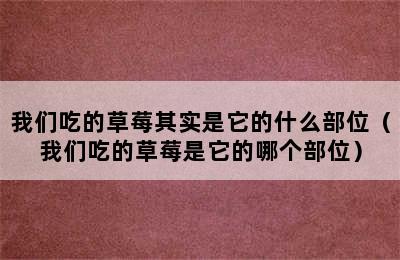 我们吃的草莓其实是它的什么部位（我们吃的草莓是它的哪个部位）