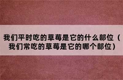 我们平时吃的草莓是它的什么部位（我们常吃的草莓是它的哪个部位）