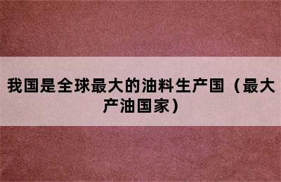 我国是全球最大的油料生产国（最大产油国家）