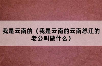 我是云南的（我是云南的云南怒江的老公叫做什么）