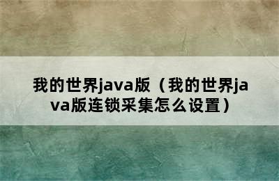 我的世界java版（我的世界java版连锁采集怎么设置）