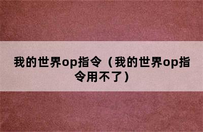 我的世界op指令（我的世界op指令用不了）