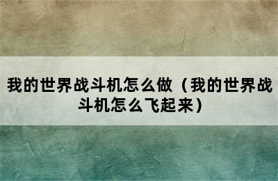 我的世界战斗机怎么做（我的世界战斗机怎么飞起来）