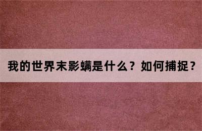 我的世界末影螨是什么？如何捕捉？