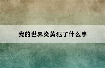 我的世界炎黄犯了什么事