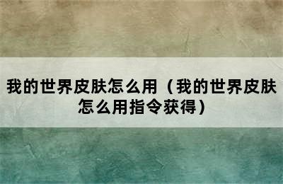 我的世界皮肤怎么用（我的世界皮肤怎么用指令获得）