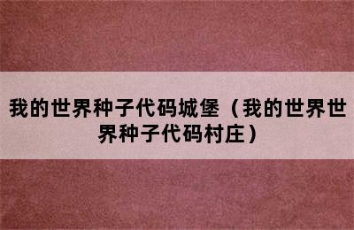 我的世界种子代码城堡（我的世界世界种子代码村庄）