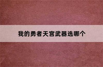 我的勇者天宫武器选哪个