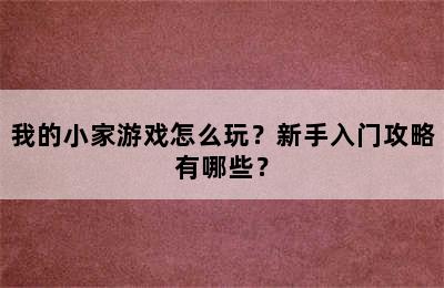 我的小家游戏怎么玩？新手入门攻略有哪些？