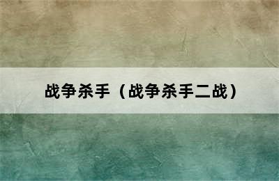 战争杀手（战争杀手二战）