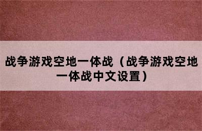 战争游戏空地一体战（战争游戏空地一体战中文设置）