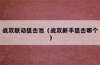 战双联动狙击池（战双新手狙击哪个）