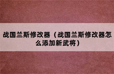 战国兰斯修改器（战国兰斯修改器怎么添加新武将）