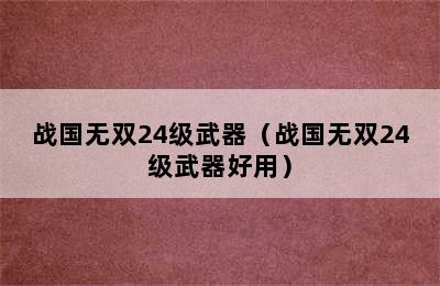 战国无双24级武器（战国无双24级武器好用）