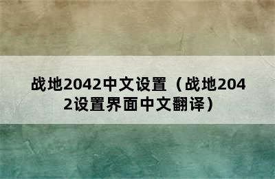 战地2042中文设置（战地2042设置界面中文翻译）