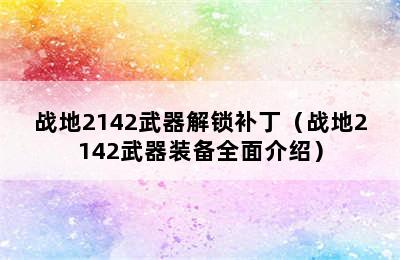 战地2142武器解锁补丁（战地2142武器装备全面介绍）