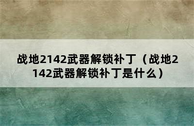 战地2142武器解锁补丁（战地2142武器解锁补丁是什么）