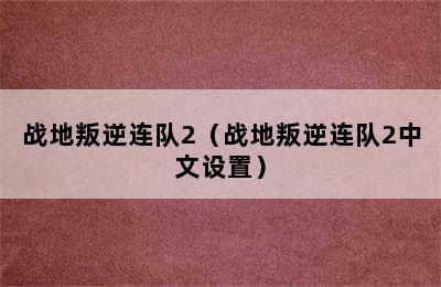 战地叛逆连队2（战地叛逆连队2中文设置）