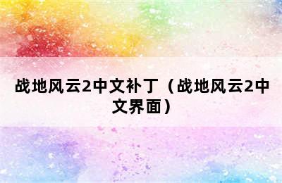 战地风云2中文补丁（战地风云2中文界面）