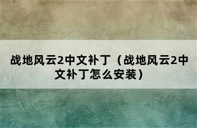 战地风云2中文补丁（战地风云2中文补丁怎么安装）