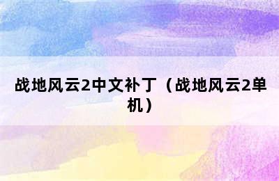 战地风云2中文补丁（战地风云2单机）