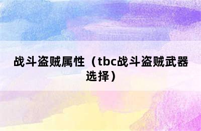 战斗盗贼属性（tbc战斗盗贼武器选择）