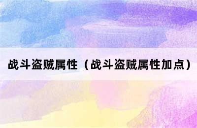 战斗盗贼属性（战斗盗贼属性加点）