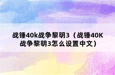 战锤40k战争黎明3（战锤40K战争黎明3怎么设置中文）